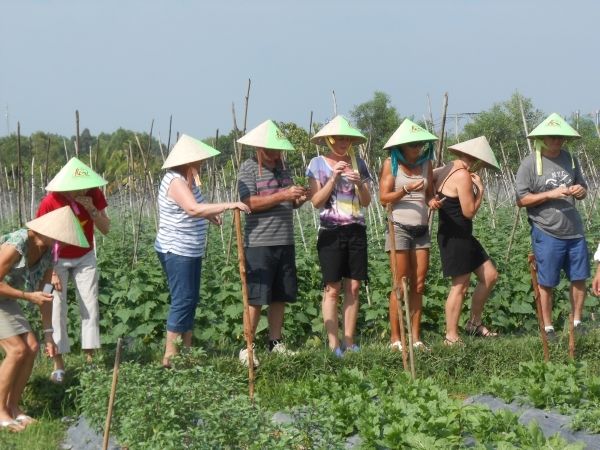 Full-Day Farming & Cooking class at Agricultural Village - Cu Chi Morning: heading out from Ho Chi Minh City