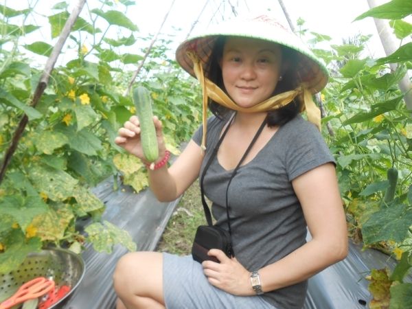 Full-Day Farming & Cooking class at Agricultural Village - Cattle fields, gardens, and why farming still looks familiar
