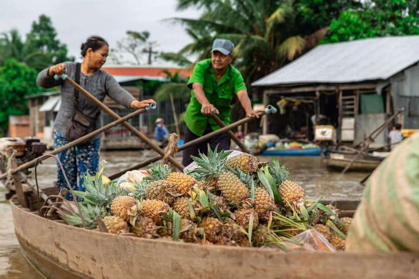 Ho Chi Minh City: Cai Rang Floating Market in Can Tho Tour - Traditional cake, pop rice, and a snakehead fish performance