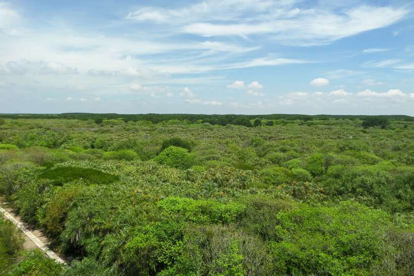 Ho Chi Minh City: Can Gio Eco Escape And Wildlife Discovery - Rừng Đước and the Crocodile Swamp Stops