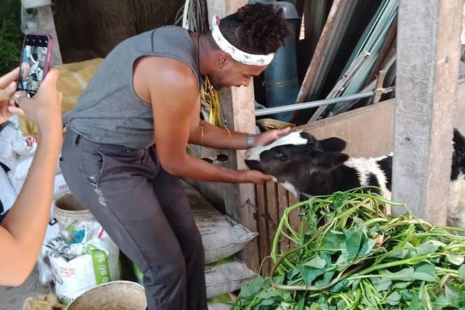 Ho Chi Minh City Full-Day Farm trip with Healthy Cooking Class - How yin-yang balance shapes flavors (and why it helps you cook later)