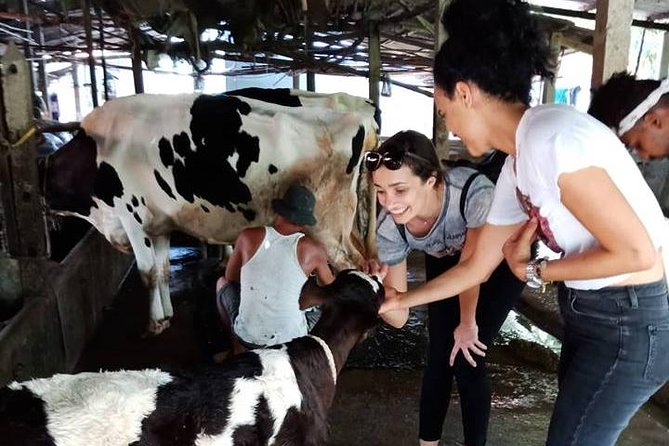 Ho Chi Minh City Full-Day Farm trip with Healthy Cooking Class - Rice paper factory stop and plant-based nutrition lessons