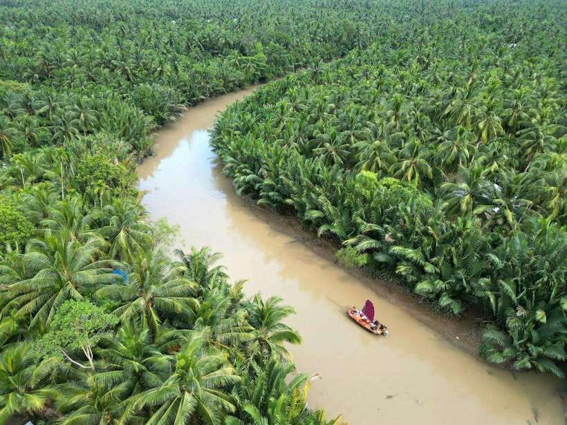 Ho Chi Minh City: Mekong Delta Day Trip with Lunch & Drinks - Key points at a glance