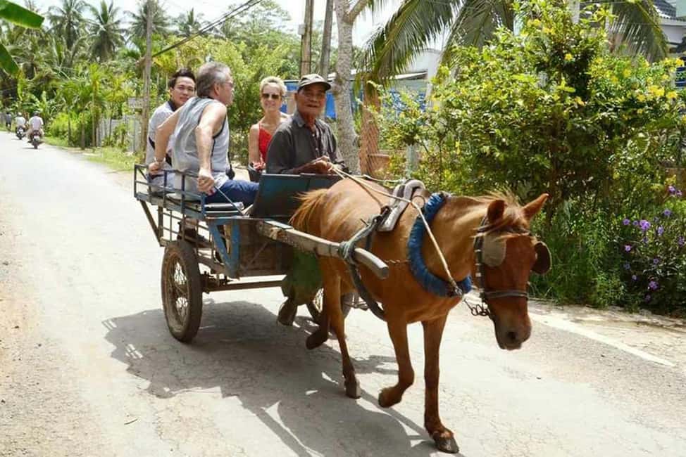 Ho Chi Minh Daily Tour: Full Day Mekong Delta (Private tour) - Horse cart + hand-rowing sampan: the Mekong at human speed