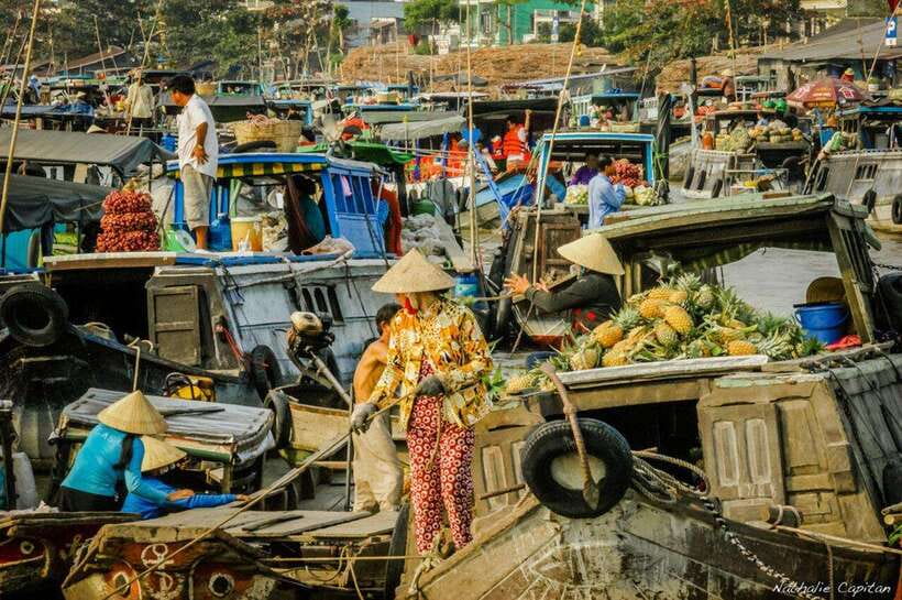 Ho Chi Minh: Group Cai Rang Floating Market 1 Day Tour - Who should book this Cai Rang group day tour