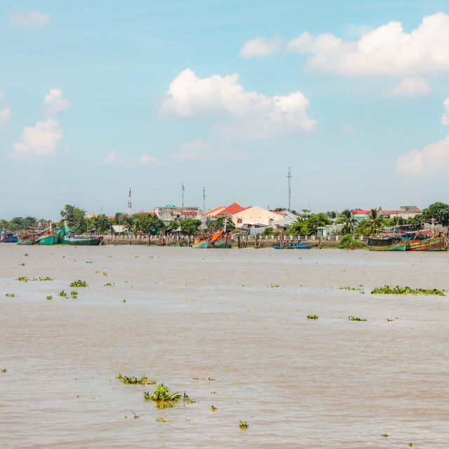 Ho Chi Minh: Mekong River Islands Private Excursion - Honey Tea, Folk Music, and Seasonal Fruit Tastings