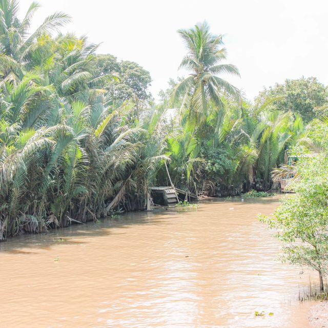 Ho Chi Minh: Mekong River Islands Private Excursion - Who This Tour Suits Best (And Who Might Struggle)