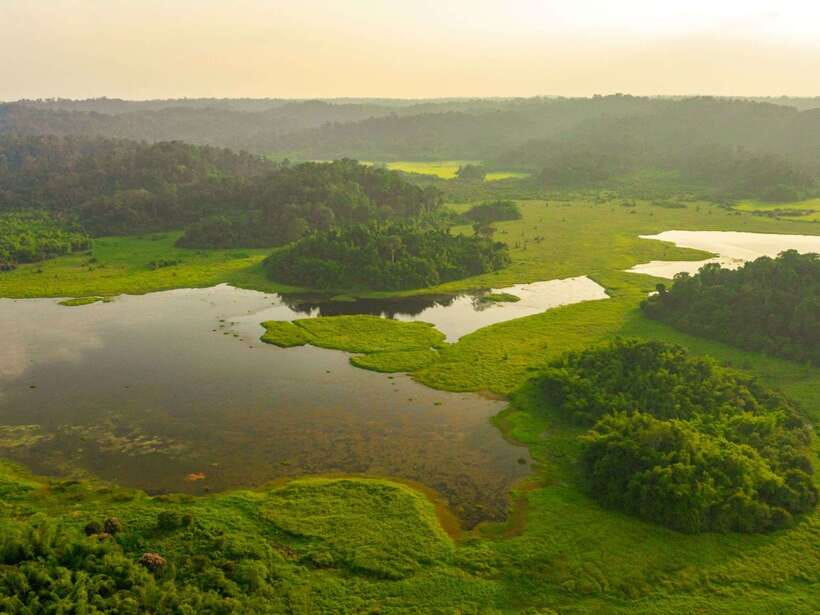 Ho Chi Minh to Cat Tien National Park – Dalat (3 days) - Bear Rescue Center and jungle time: wildlife with context, not chaos