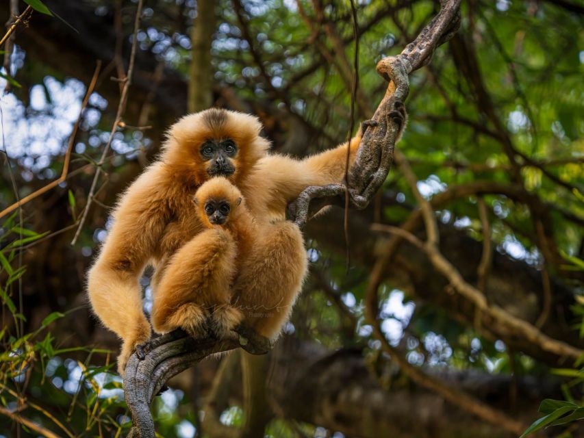 Ho Chi Minh to Cat Tien National Park – Dalat (3 days) - Practical tips: what to bring and how to make it smoother