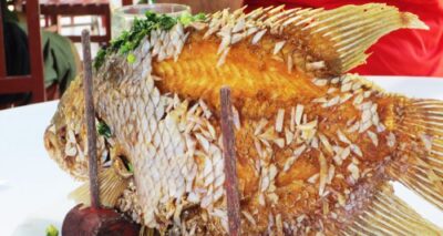 Ho Chi Minh: Top Site Must See Mekong Delta Cruise - VIP Transportation and What the Included Price Really Buys