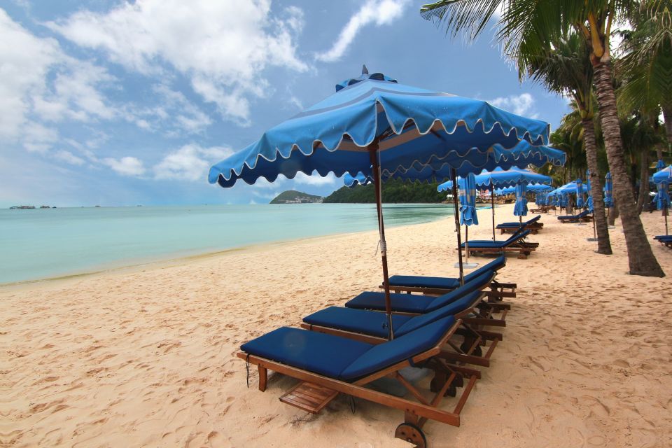 Ho Coc Beach, Nature Reserve & Dragon Fruit Farm Day Tour - Price and Value: What $114 Really Buys