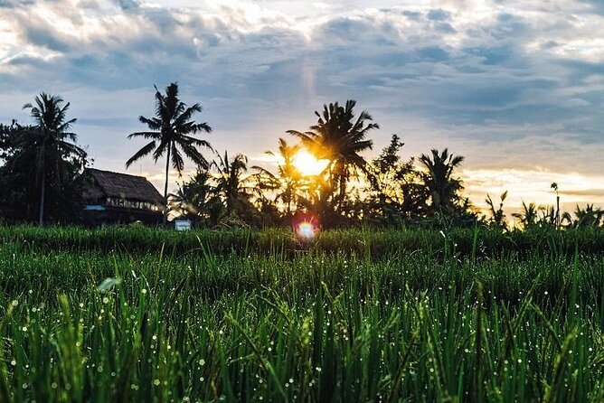 LUXURY Mekong 2 Days 1 Night SMALL GROUP Stay at Tiny Homestay with BBQ Dinner - Stop 2: Day 2 breakfast, cycling orchards, and a cooking class you’ll remember