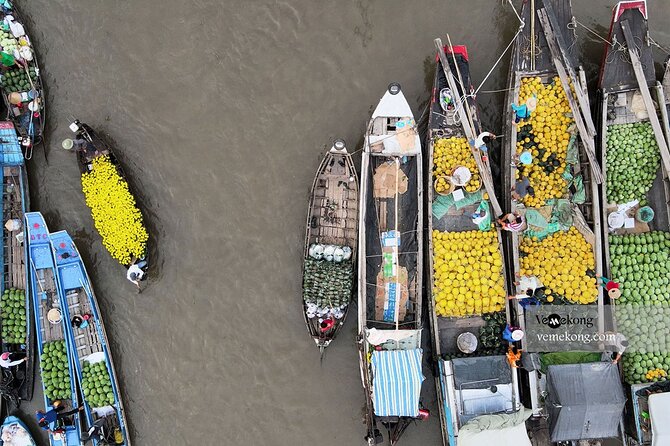 Luxury Mekong Delta Floating Market small Group 2 Days 1 Night - Who This Mekong Delta Floating Market Tour Fits Best