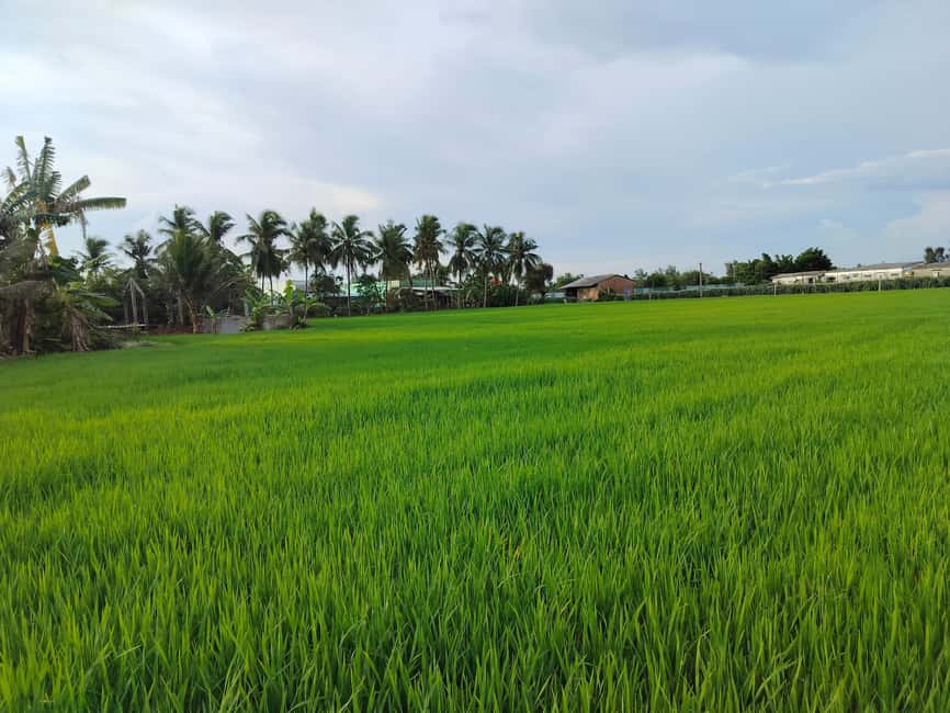 Mekong Day Trip Group 12pax Explore Bicycle & Cooking Class - From District 1 pickup to Bến Lức: get ready for a real morning start