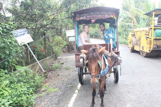 Mekong Delta Adventure by Private Car from Phu My Port - Traditional music and how the guide brings the delta to life