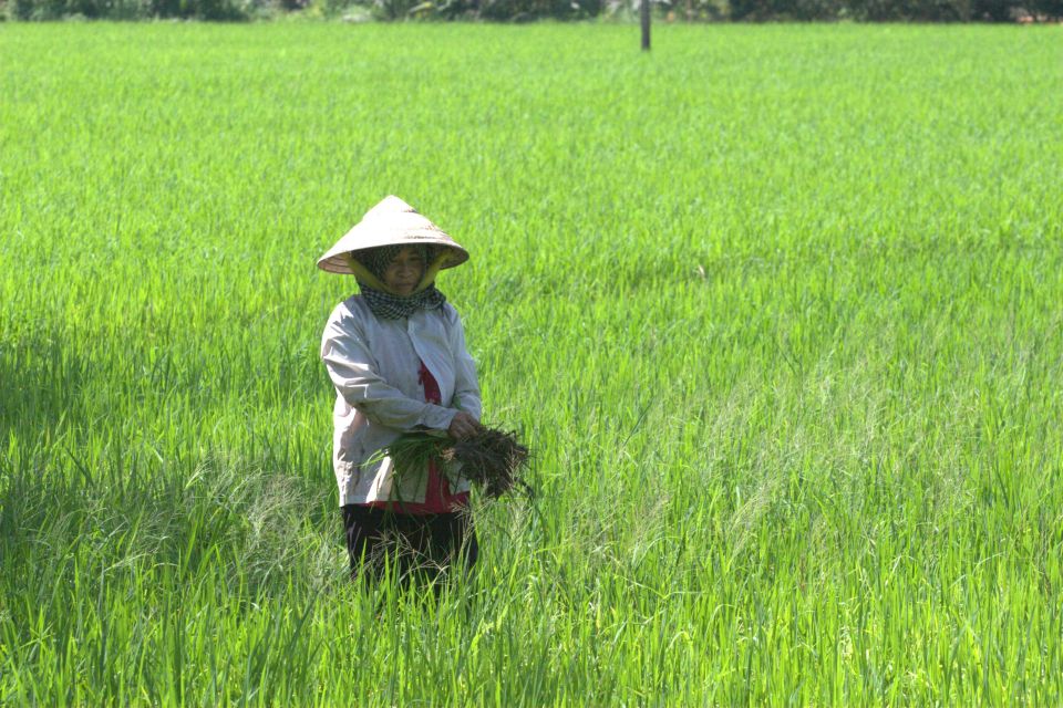 Mekong Delta Private Tour from Ho Chi Minh City - Sampan ride through coconut canals: the slowest, most atmospheric part