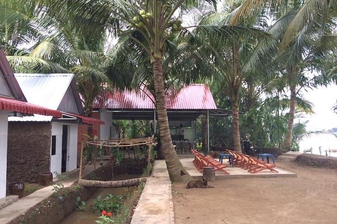 Mekong Delta Tour with Kayaking, Cycling and Cooking - Cồn Phụng (Bến Tre): Mekong Cruise, Traditional Music, and Sampan Canals