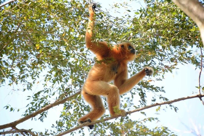 Nam Cat Tien National Park 2 Days 1 Night - Private Tour - Ta Lai and animal-spotting time: how to get the most from the guide