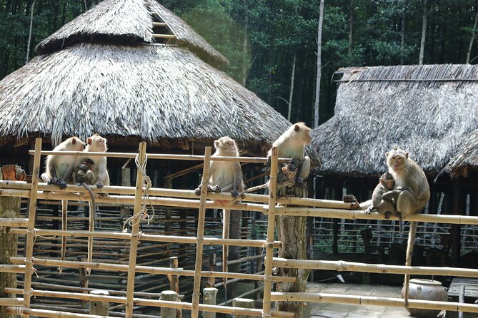 Private Can Gio Biosphere Reserve Day Trip from Ho Chi Minh City - Lunch and what’s covered vs not: you’ll want to know this up front