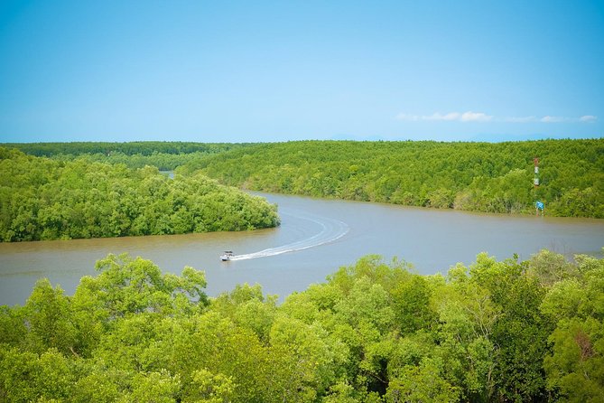 Private Can Gio Mangrove Eco Tour – Boat & Wildlife - Can Gio Mangroves: Why This Day Trip Feels Different