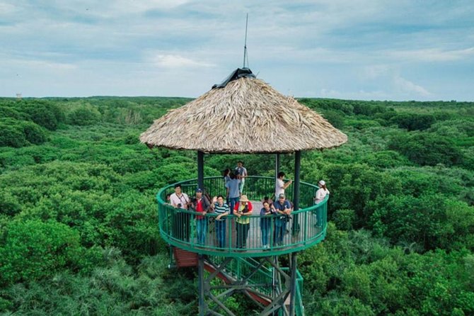 Private Can Gio Mangrove Eco Tour – Boat & Wildlife - Vam Sat Canopy Tower: Turning Humidity Into Great Views