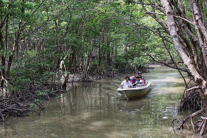 Private Can Gio Mangrove Eco Tour – Boat & Wildlife - Who this private Can Gio tour is best for (and who might pass)