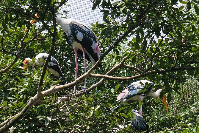 Private Full Day Mekong Delta Tour to Dong Thap Muoi Wetlands - Price and Value: What $128 Buys You in a Long, Private Day