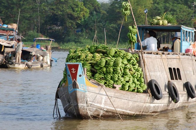 PRIVATE LUXURY Mekong Delta full day from HCM city - Quick hits before you go