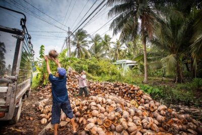 Private Mekong Delta & My Tho Full-Day Guided Tour - Pickup and timing: 5 hours of activities inside an 8-hour day