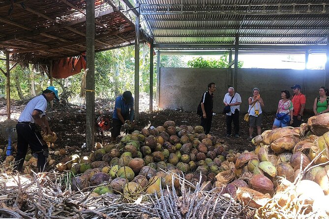 Private tour: Explore the authentic rural life in Ben Tre - Riverside lunch option: elephant-ear fish and river shrimp