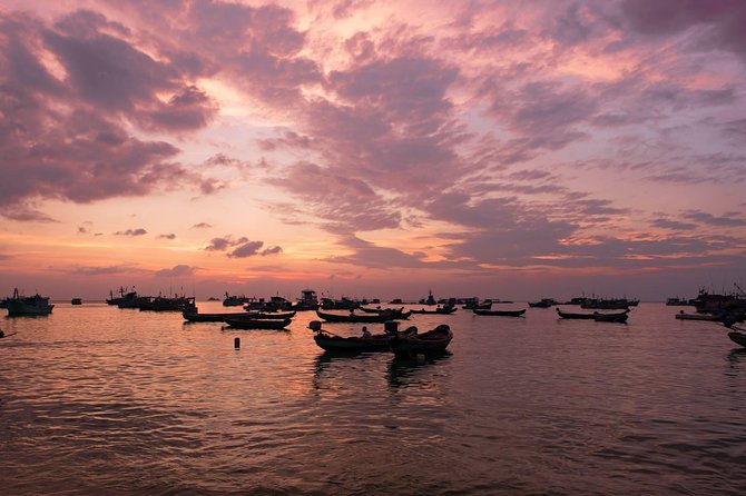 Private Tour Mekong Delta Day Trip from Ho Chi Minh City - Fruit Picking and Elephant Ear Fish: The Best-Case and the Reality Check