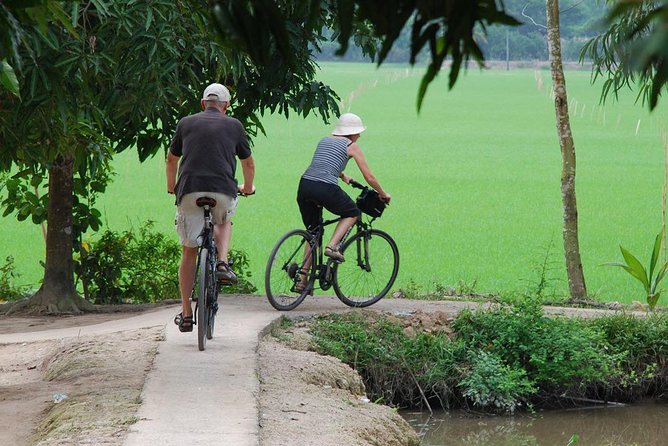 Private Tour Mekong Delta Day Trip from Ho Chi Minh City - Guides Can Make the Day: Henry, David, Tony, and the Luck Factor