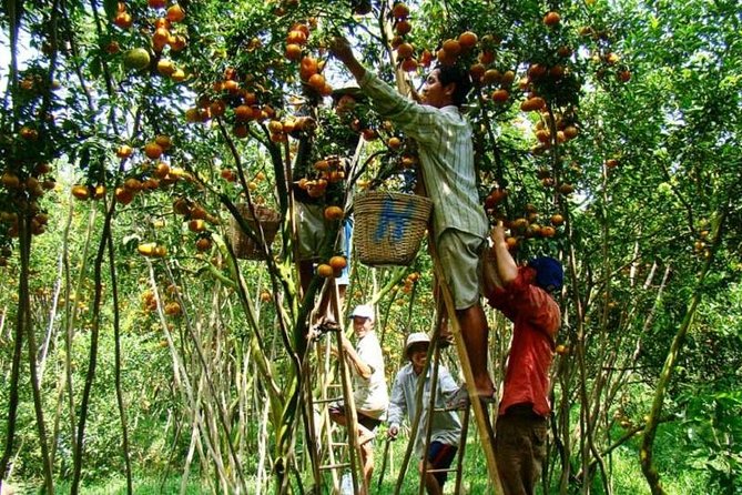 Private tour to Mekong Delta 1 day - How the private format makes this Mekong day feel manageable