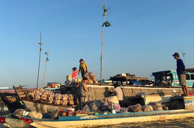 Private tour to Mekong Delta 1 day - Tan Phong Island: hand-rowing canals, then a bicycle ride