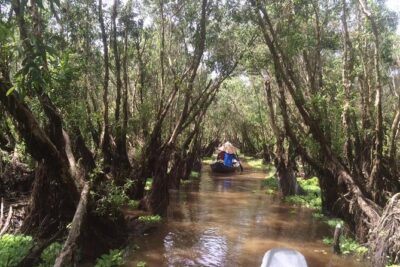 Private tour to Mekong Delta 1 day - Cai Be floating market by boat: comparing inland vs floating life