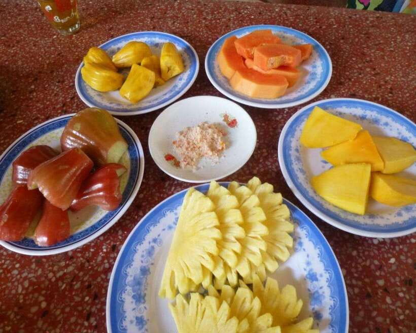 Top Site Must See Bestseller Mekong Delta Full-Day Discovery - Tropical Fruit Tasting and Traditional Music Performance