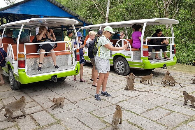 VIP Tour in Vam Sat: Can Gio Mangrove Forest by SpeedBoat - First Stop: The Saigon River Cruise From Bach Dang Pier